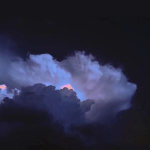 宰杀女畜屠宰场穿刺杆视频全过程
