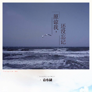 宰杀女畜屠宰场穿刺杆视频全过程
