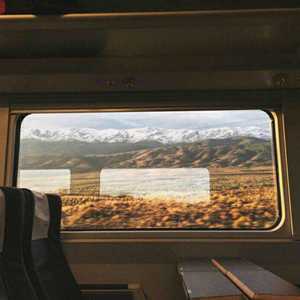 宰杀女畜屠宰场穿刺杆视频全过程
